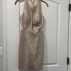 Sparkly silver and tan dress